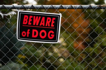 В Массачусетсе 11 собак загрызли подростка, который за ними присматривал