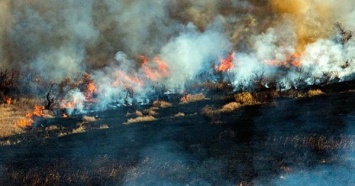 По всей России горит более 40 тысяч гектаров леса