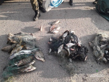 Патрульные «накрыли» возле Чернигова браконьеров с сетями
