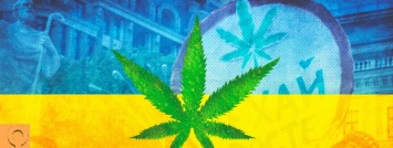 Легкие наркотики в Украине - что будет если их легализовать