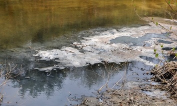 Парламент рекомендовал объявить бассейны рек Хомора и Случ зоной чрезвычайной экологической ситуации