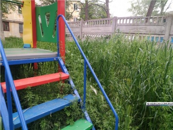 Детская площадка в центре Керчи поросла травой