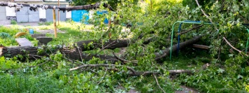 В Днепре дерево упало на детскую площадку