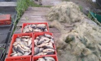 Под Днепром браконьеры ловили рыбу и нанесли ущерб на сумму более 7 тысяч гривен