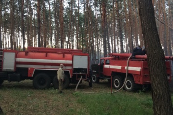 Масштабный пожар на Харьковщине: спасатели полдня боролись с огнем