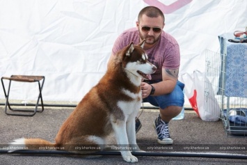 В Харькове проходит международная выставка собак