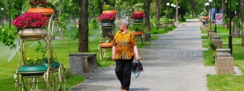 Как изменился парк Парк имени Бориса Мозолевского в Покрове