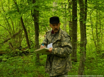 Экологи показали весеннее буйство зелени и красок на фото из лесов Чернобыльского заповедника