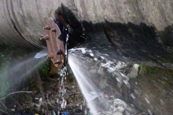Озеро Курячье «очищают» питьевой водой за счет жильцов