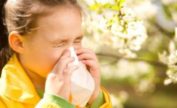 Осторожно, аллергия: действенные советы врачей, как уберечься от болезни