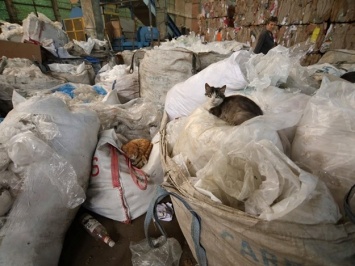 Получи ответ: как в Одессе перерабатывают сортированный мусор