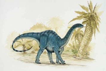 Динозавры могли переходить от ходьбы на четырех лапах к двум в течение жизни