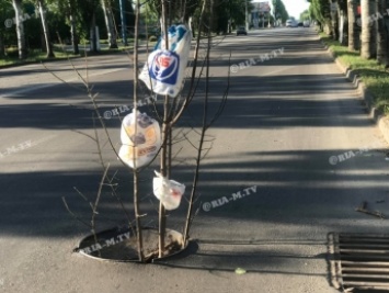 Посреди дороги в Мелитополе "выросло" дерево АТБ (фото)