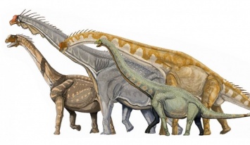 Некоторые динозавры в течение жизни могли переходить от ходьбы на четырех лапах до двух, - ученые