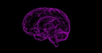 Исследователи обнаружили «область карманника» в мозге