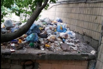 Коммунальщики решили выбрасывать мусор под окна граждан