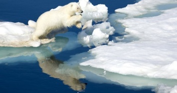 Тайга-рай: Глобальное потепление станет подарком для России