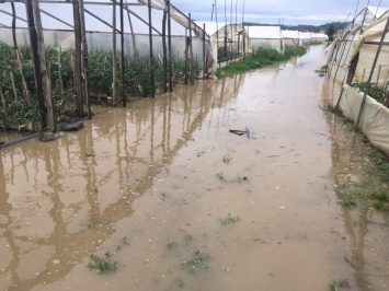 Последствия дождей на Закарпатье: подтоплены подвалы и сельхозугодья