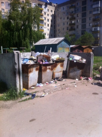 Лисичанск утопает в мусоре: бегают красы, власти бездействуют