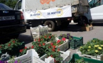 «Оппозиционная платформа - За життя» в Днепре в третий раз проводит конкурс «Городские цветы»