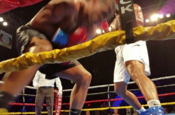 Боксеры одновременно послали друг друга в нокдаун: уникальное видео