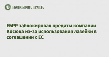 ЕБРР заблокировал кредиты компании Косюка из-за использования лазейки в соглашении с ЕС