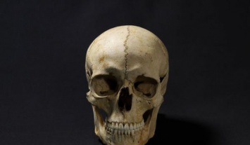 Ученые создали ФОТО древнего человека, жившего 1300 лет назад