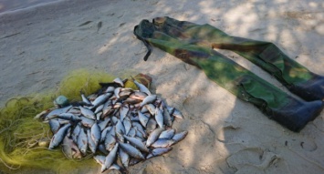 В области изъяли полтонны незаконно добытой рыбы