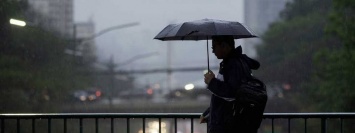 Погода на 24 мая: жителей Киева ждут дождь и жара