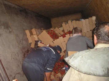 В Запорожской области перевернулся грузовик, в котором было 5 тонн клубники, - ФОТО