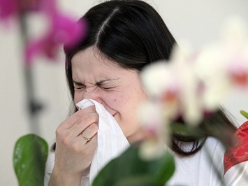 Как одесситам пережить сезонную аллергию: советы медиков