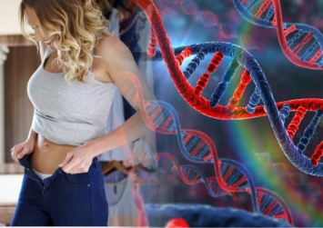 Влезть в джинсы поможет ДНК: Знание генов контролирует лишний вес