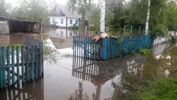В Житомирской области из-за дождей затопило дома