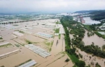 Власти Закарпатья оценивают ущерб от паводка в 150 миллионов грн