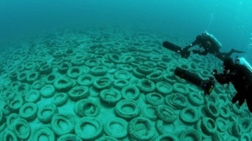 В Бердянске из покрышек создают искусственные рифы - в Европе такой эксперимент считают опасным, - ФОТО