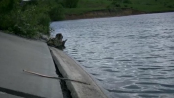 В Винницкой области в пруду утонули двое детей