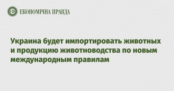 Украина будет импортировать животных и продукцию животноводства по новым международным правилам