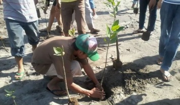 На Филиппинах учеников перед выпуском обязали садить по 10 деревьев