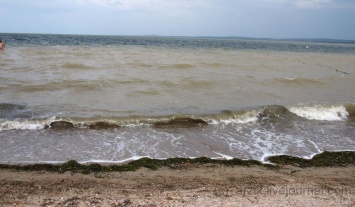 Вадим Бойченко заявил, что Азовское море загрязняют мариупольцы стриальными порошками