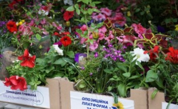 В Днепре проходит конкурс «Городские цветы - 2019»: комментарии участников