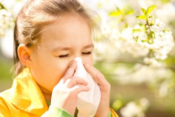Сезон аллергии открыт: днепрянам рассказали, как защитить себя от надоедливой пыльцы