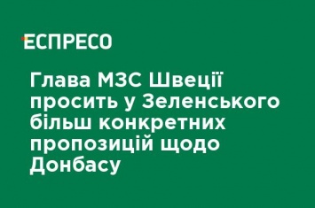 Глава МИД Швеции просит у Зеленского более конкретных предложений по Донбассу