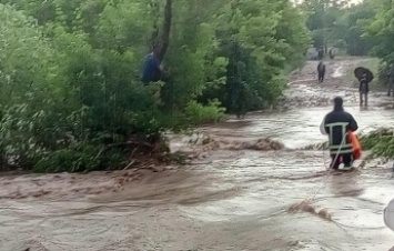 Непогода в Запорожской области: мужчину смыло потоком воды