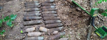 Искал металл, а нашел снаряды: под Кривым Рогом мужчина помог спасателям найти и обезвредить 26 артиллерийских боеприпаса