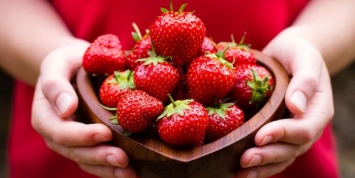 Не ждите сладкой ягоды. Дожди на Николаевщине сорвали сезон ранней клубники