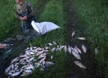 Поймали опытного браконьера из Варваровки, который вброд ловил рыбу в Бугском лимане