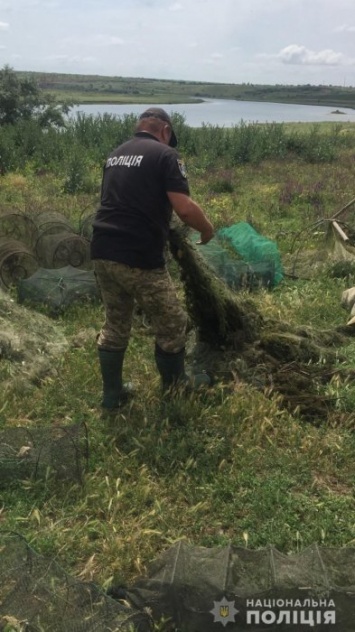 На Николаевщине из браконьерских сетей освободили килограммы рыбы и раков