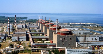 Полиция задержала неадеквата, "заминировавшего" Запорожскую АЭС