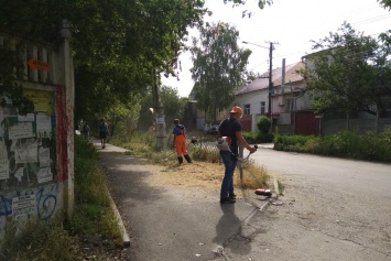 В Симферополе за неделю скосили сорняков на площади в 140 тысяч кв. м