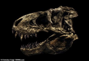Фотограф "воскресил" динозавров, живших на Земле 250 миллионов лет назад